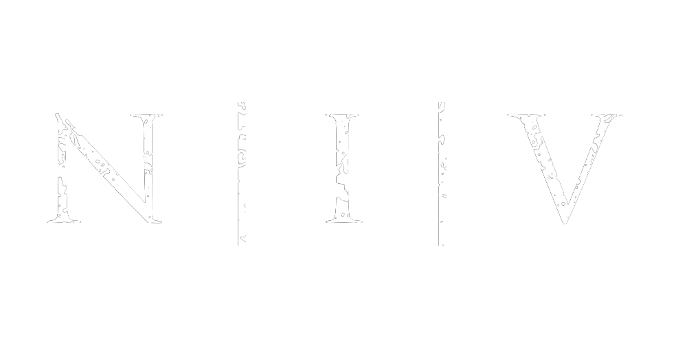 boceto-logo-blanco-niv